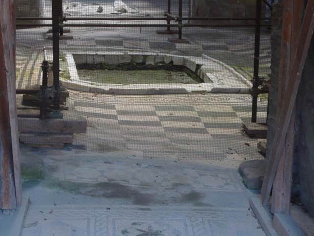 IV.2, Herculaneum, August 2013. Looking east towards atrium showing the undulation of the mosaic flooring and impluvium. Photo courtesy of Buzz Ferebee.